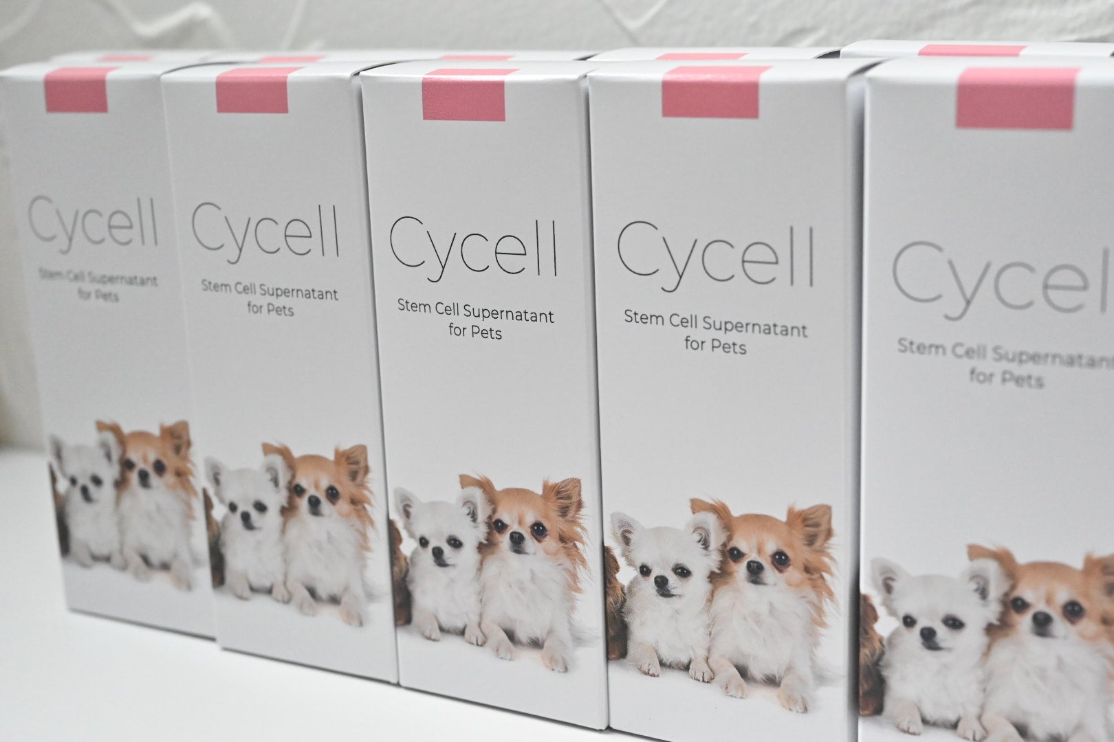 ペット用マルチオイルCycell（サイセル） | Grand Beaute グラン