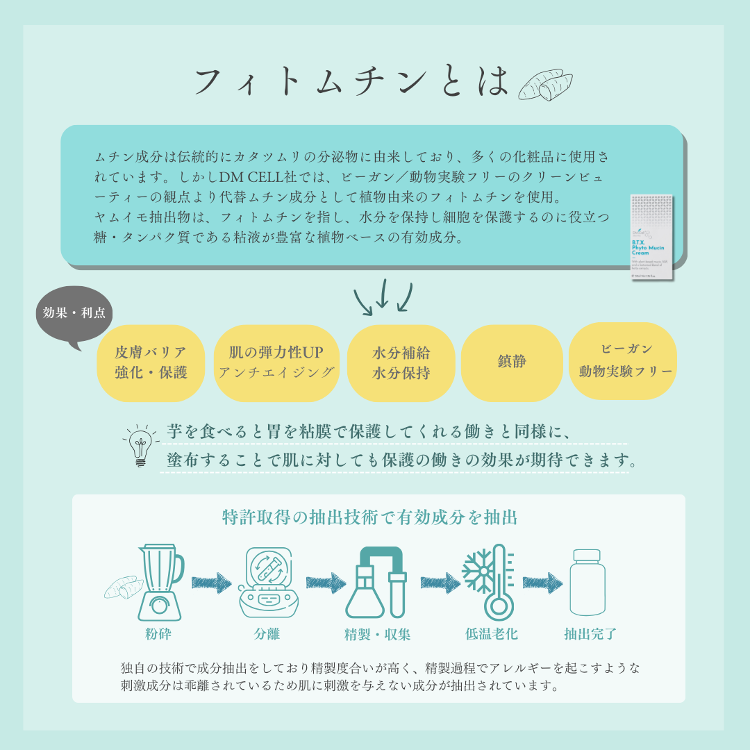 大人気！D.MCell B.T.X.エッセンジットのクリームが登場！ | Grand